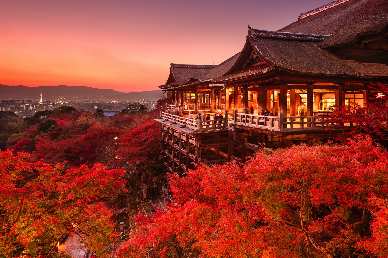 Japan Private Travel hero image