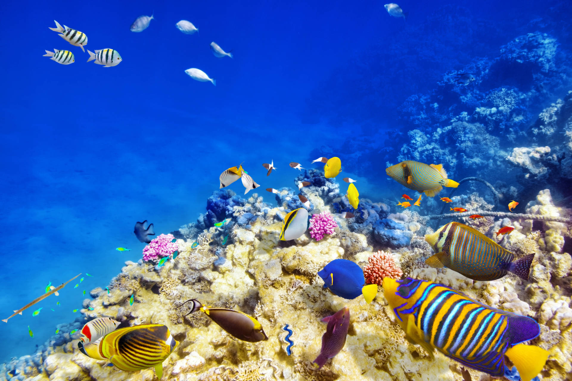 Mexico Luxury Travel hero image