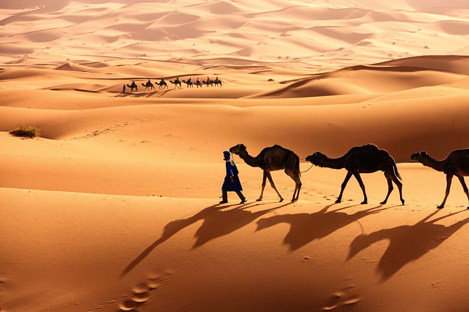 Sahara Desert Luxury Travel hero image